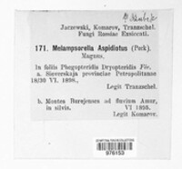 Image Associated With the Occurence